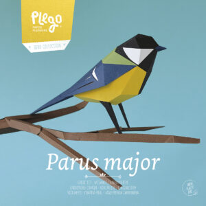 Figura de paper - Mallerenga carbonera