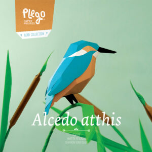 Figura de paper - Blauet