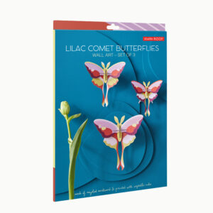 Figura de cartró - Set de 3 papallones